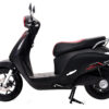 evo neo den